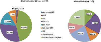 Phenotypic and Genotypic Antimicrobial Resistance Traits of Vibrio cholerae Non-O1/Non-O139 Isolated From a Large Austrian Lake Frequently Associated With Cases of Human Infection